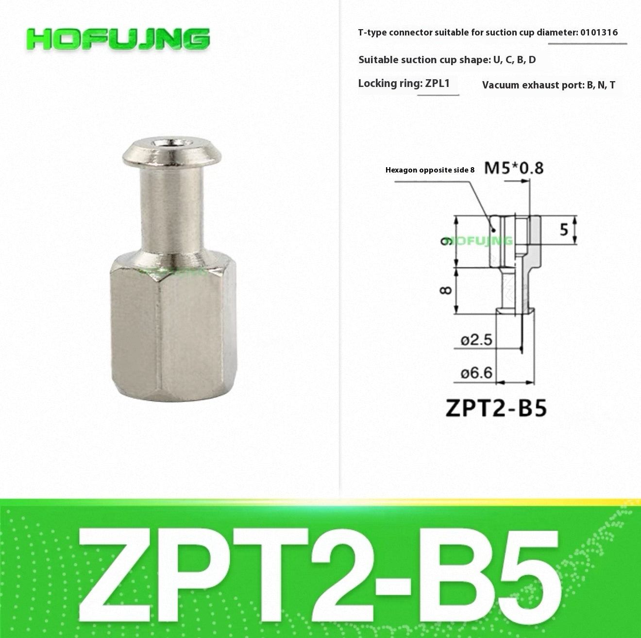 ZPT2-B5