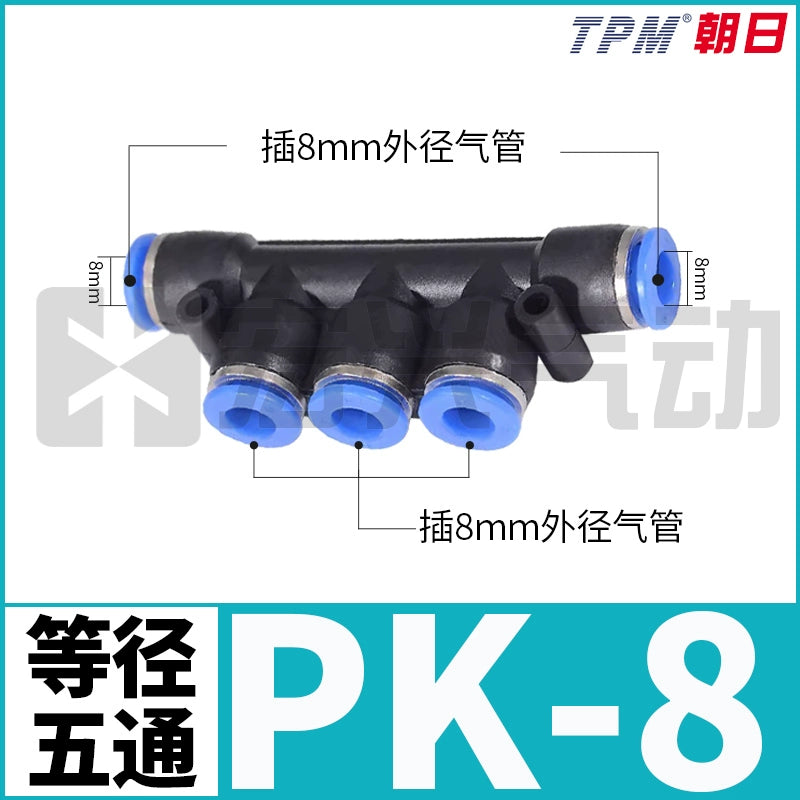 Five PK-8